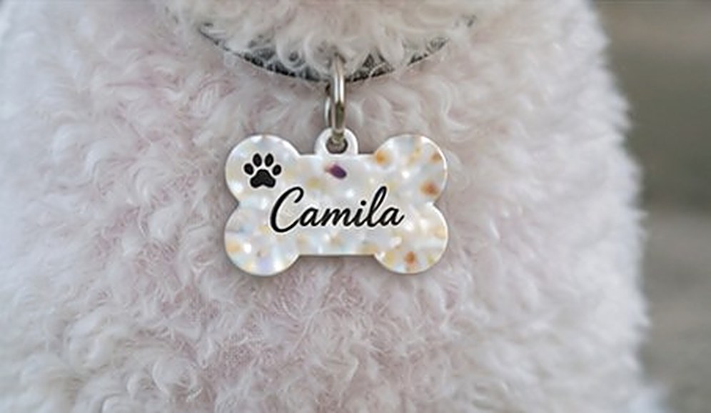 Pearl Shimmer Smart Bone Tag